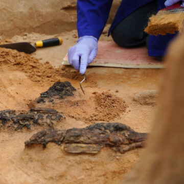 Nauji archeologiniai atradimai Verkių dvaro sodybos teritorijoje
