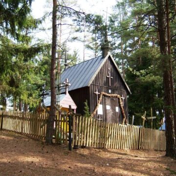 Albertas Ruginis. Panų kalnas Albertas Ruginis. Panų kalnas