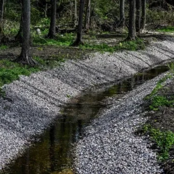 Kodėl poligonai ir gamtosauga yra suderinami? Kodėl poligonai ir gamtosauga yra suderinami?