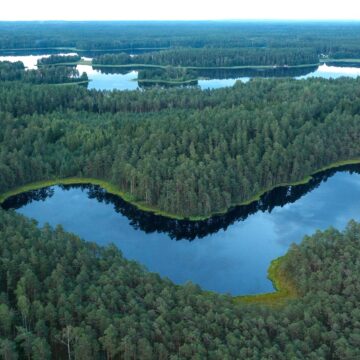„Sengirės fondas“ bendruomenės ir rėmėjų pagalba išpirko rekordinį 39 ha miško plotą