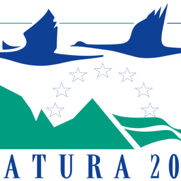 Kaip sužinoti, ar mano miškas patenka į „Natura 2000“ teritoriją ir kaip ūkininkauti šiose teritorijose ar joms artimoje aplinkoje