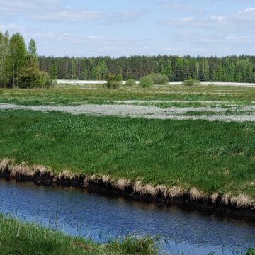Šiandien Lietuvoje būtų sunku rasti melioracijos nepaliestą pelkę