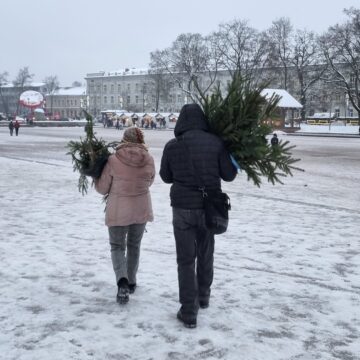 Miškininkai pataria, kaip su kalėdiniu medeliu elgtis po švenčių