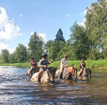 Kur žirgas – ne tik pramoga, bet ir bičiulis: gilioms patirtims kviečia Arklio muziejus Kur žirgas – ne tik pramoga, bet ir bičiulis: gilioms patirtims kviečia Arklio muziejus