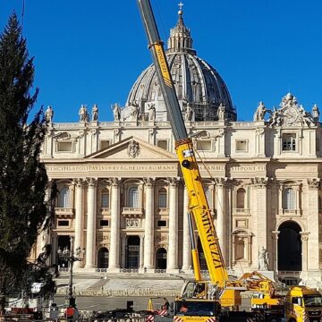 Šių metų Kalėdų eglė ir prakartėlė Šv. Petro aikštėje – iš Italijos