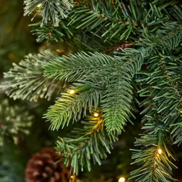 Miškininkai kviečia parsinešti Kalėdas į savo namus – gruodžio 20 d. visoje Lietuvoje nemokamai dalins eglių šakas
