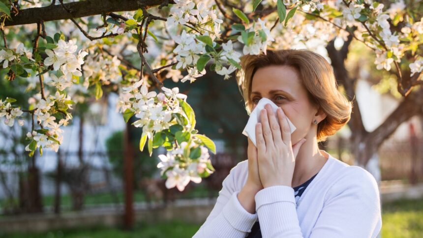 Alergijos sezonas tęsiasi: vaistininkė atskleidžia, kuo skiriasi senosios ir naujosios kartos vaistai