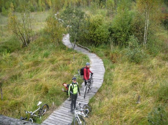 Dviračiais po Dubysos kalnus. Jūriniai ereliai, žemapelkė, piliakalniai