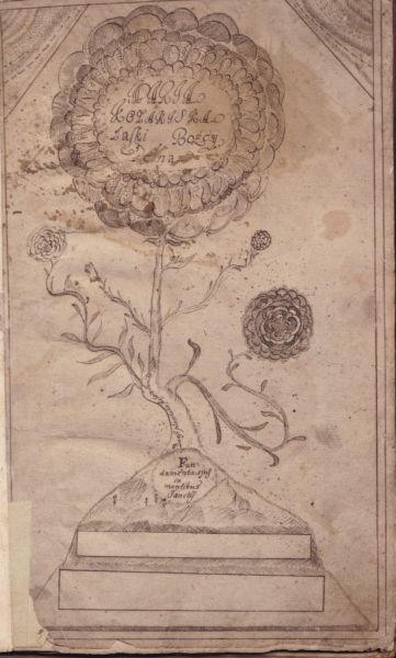 virselis-616x1024